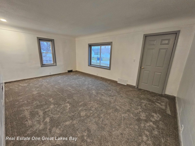 carpeted spare room with a textured ceiling and a wealth of natural light