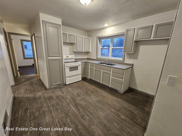 kitchen featuring dark hardwood / wood-style floors, sink, white electric stove, and gray cabinets