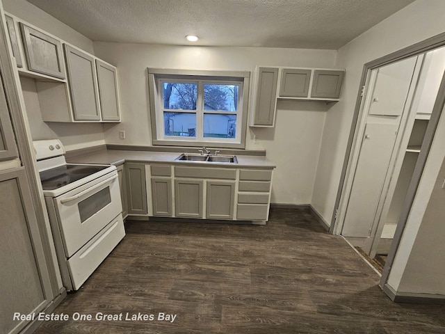 kitchen featuring dark hardwood / wood-style floors, sink, white electric range oven, gray cabinetry, and a textured ceiling