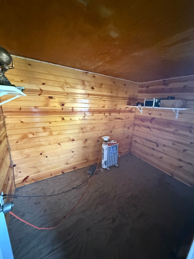 bonus room featuring wooden walls