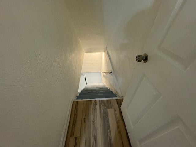 stairway featuring wood-type flooring