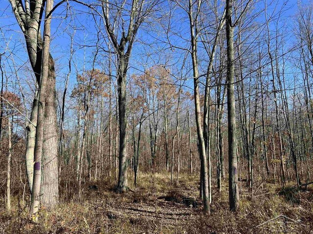 VL W Baker Rd, Sanford, MI 48657
