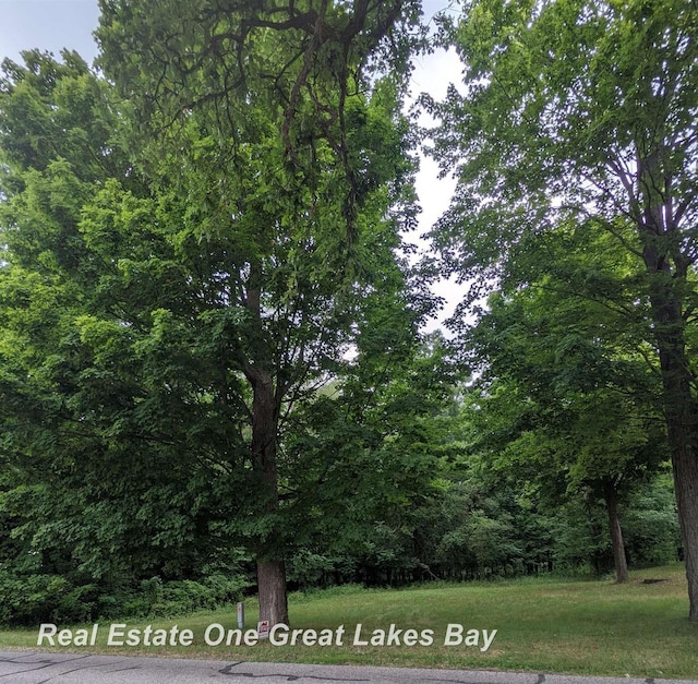 W Walnut St, Saint Charles, MI 48655