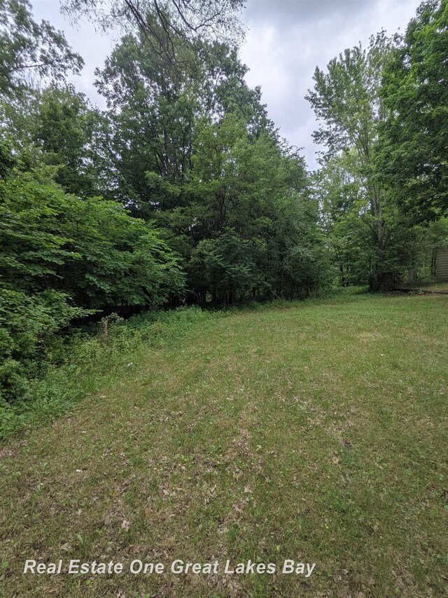 W Walnut St, Saint Charles, MI 48655