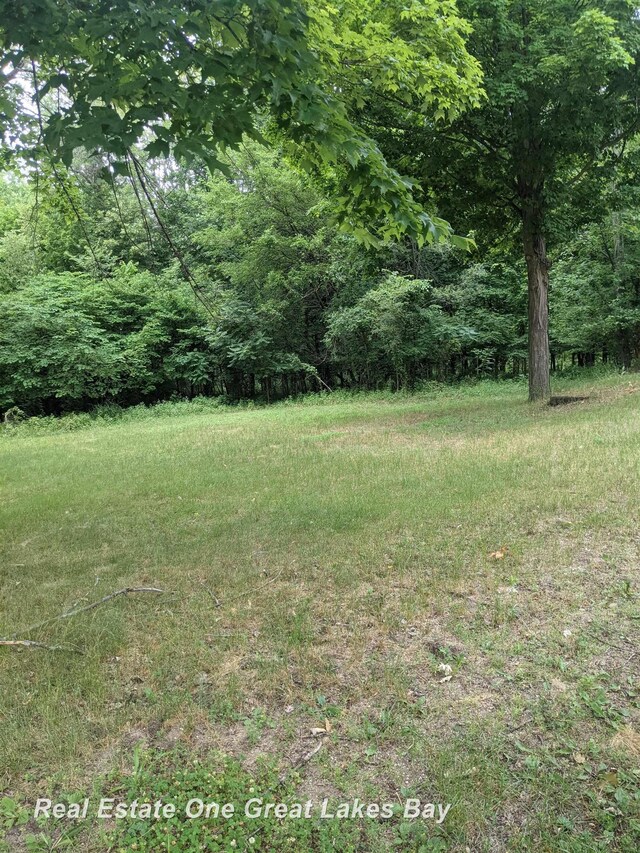 W Walnut St, Saint Charles, MI 48655
