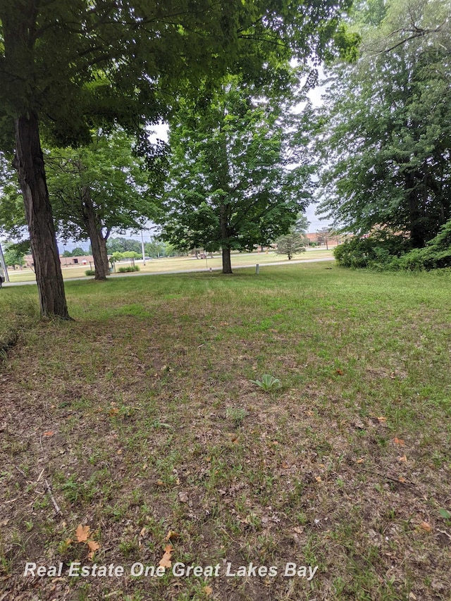 W Walnut St, Saint Charles MI, 48655 land for sale