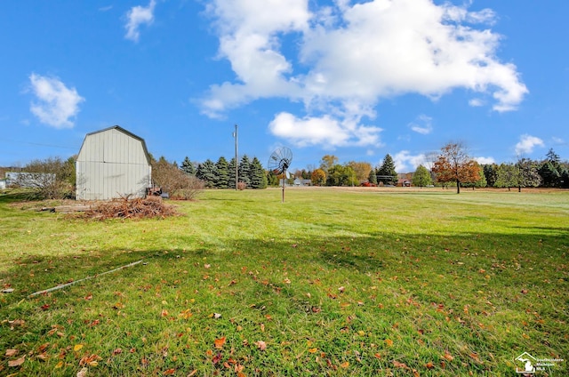 view of yard featuring a shed