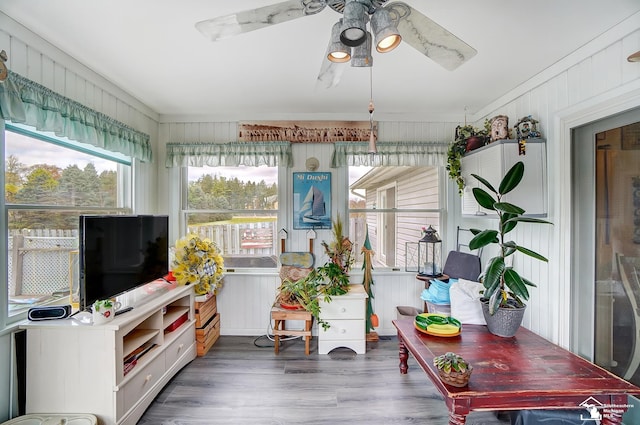 sunroom with ceiling fan