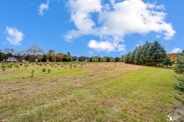 view of yard featuring a rural view