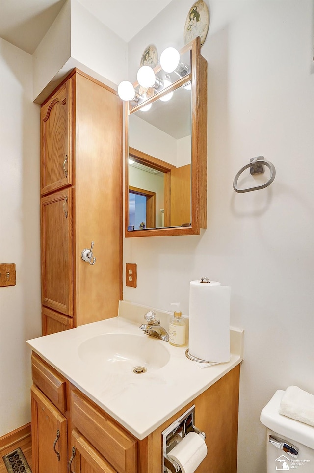 bathroom with vanity and wood-type flooring