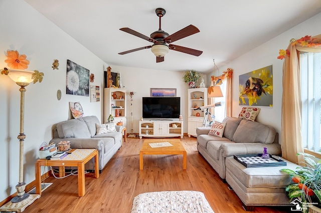 living room with ceiling fan and light wood-type flooring