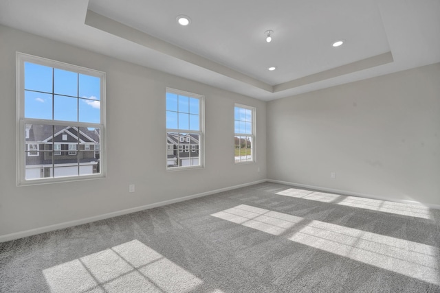 unfurnished room with a tray ceiling and carpet floors