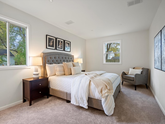 bedroom with carpet flooring