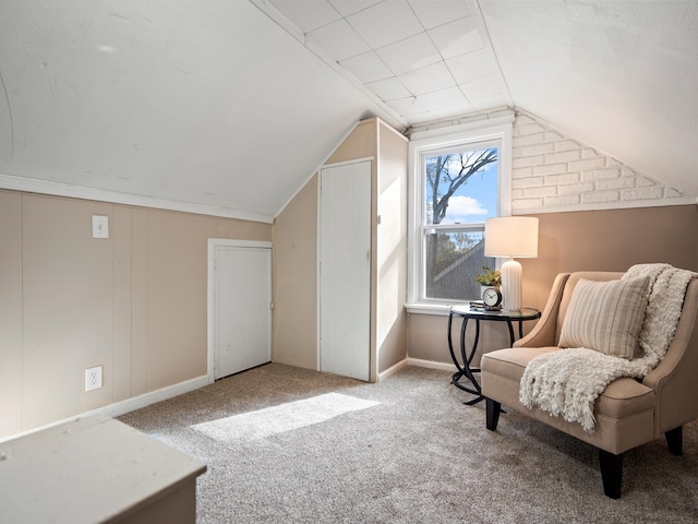 sitting room with light colored carpet and vaulted ceiling