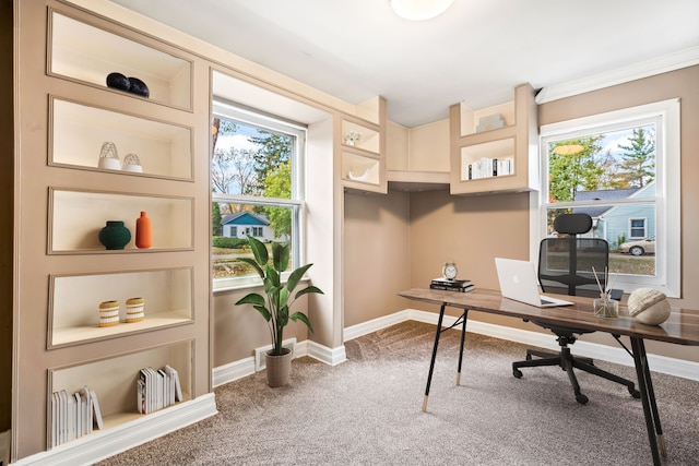 carpeted office featuring a wealth of natural light