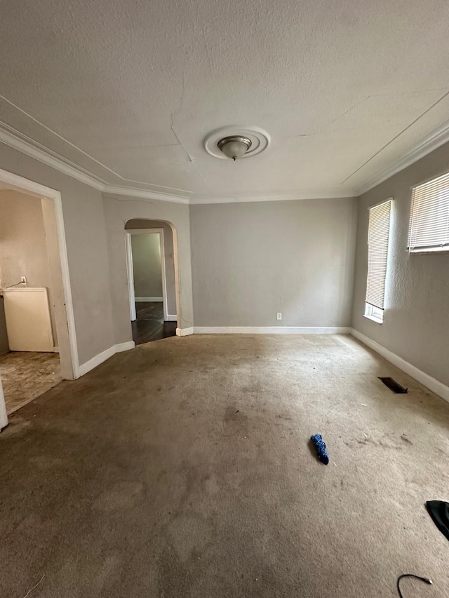 spare room with crown molding, a textured ceiling, and carpet flooring