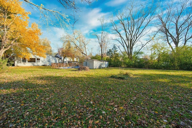 view of yard with a storage unit