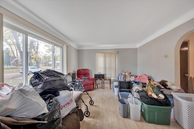 living room featuring light hardwood / wood-style flooring and crown molding