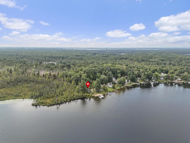 7504 W Dakota Trl, Lake City, MI 49651 - photo 52