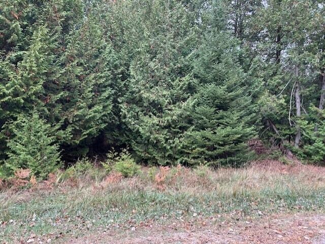 LOT694 Huntington Dr, Oscoda, MI 48750