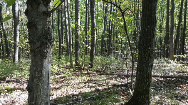 423 Mooncrest Dr, Roscommon, MI 48653 - photo 2