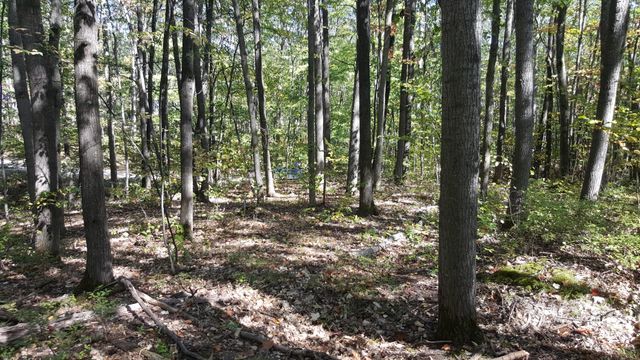 423 Mooncrest Dr, Roscommon, MI 48653 - photo 3