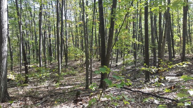 423 Mooncrest Dr, Roscommon, MI 48653 - photo 5