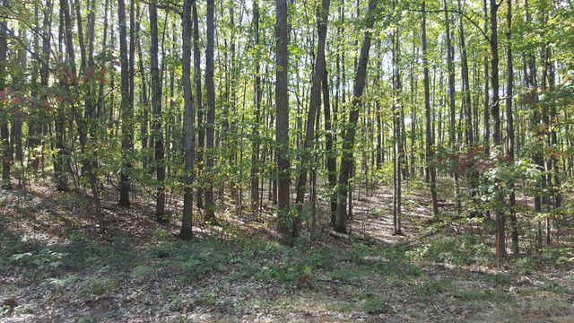 423 Mooncrest Dr, Roscommon, MI 48653 - photo 7