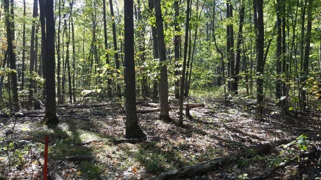 423 Mooncrest Dr, Roscommon, MI 48653 - photo 6