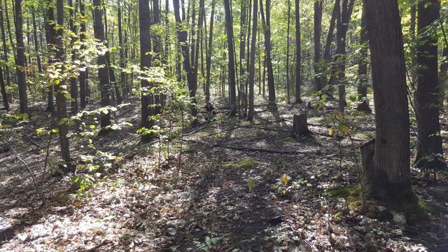 423 Mooncrest Dr, Roscommon, MI 48653 - photo 9