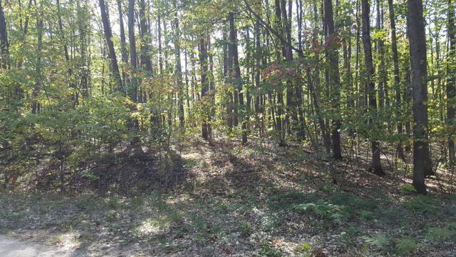 423 Mooncrest Dr, Roscommon, MI 48653 - photo 11