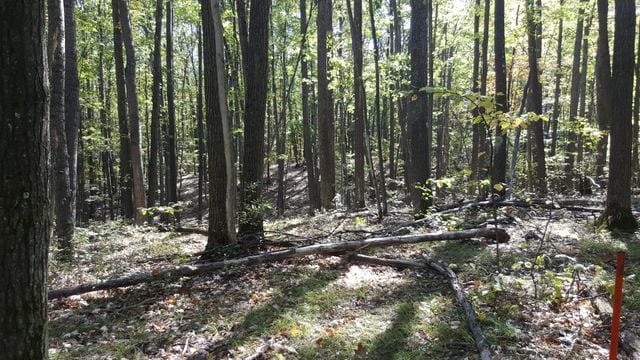 423 Mooncrest Dr, Roscommon, MI 48653 - photo 10