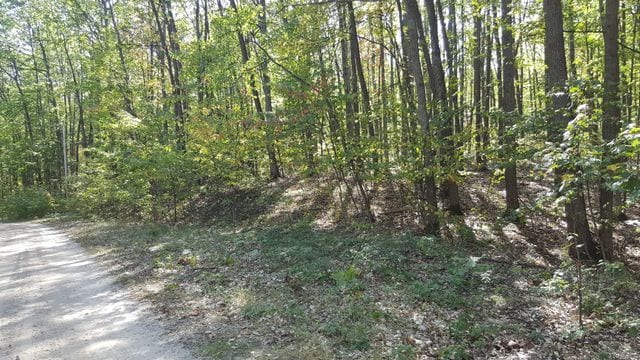 423 Mooncrest Dr, Roscommon MI, 48653 land for sale