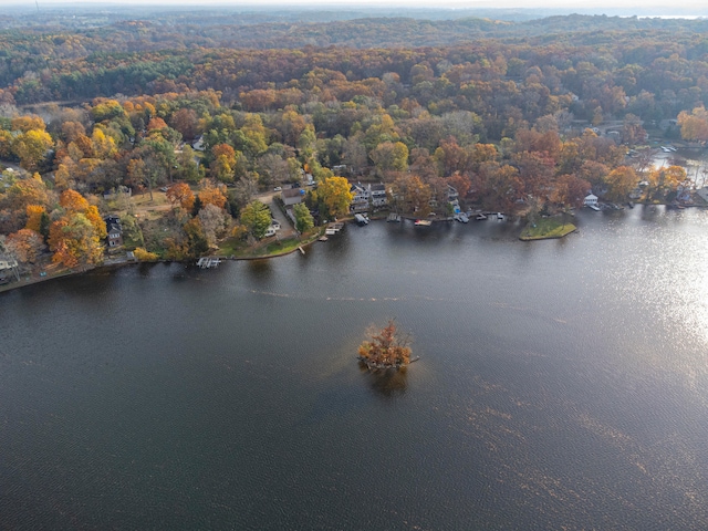 drone / aerial view featuring a water view