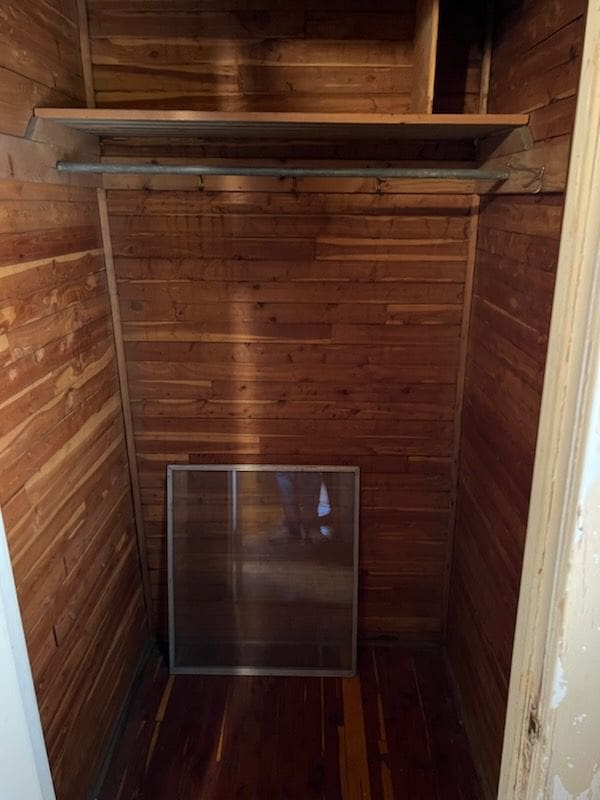 spacious closet featuring dark wood-type flooring