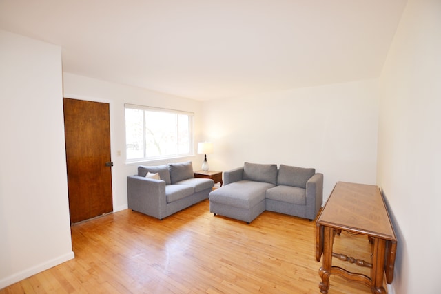 living room featuring light hardwood / wood-style floors