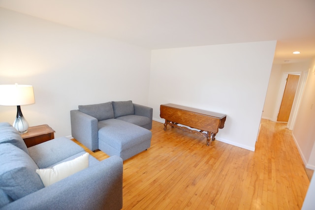 living room featuring hardwood / wood-style floors