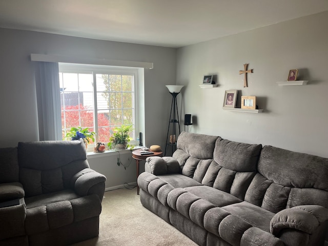 living room with carpet flooring