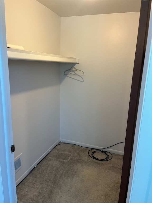 walk in closet with carpet flooring