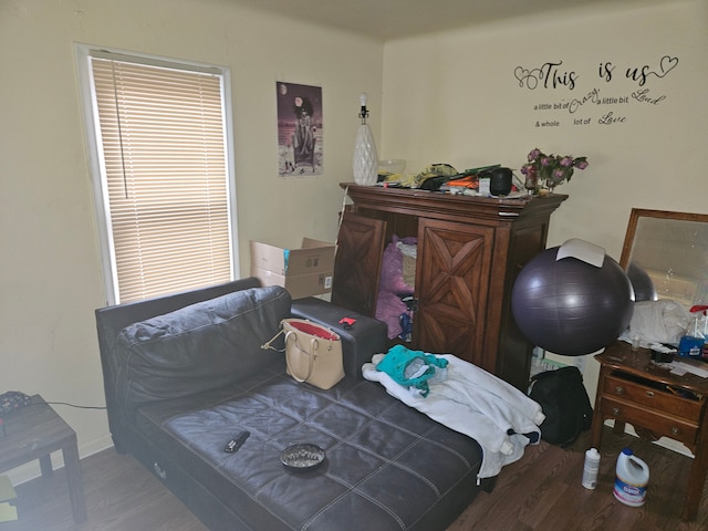 bedroom with hardwood / wood-style floors