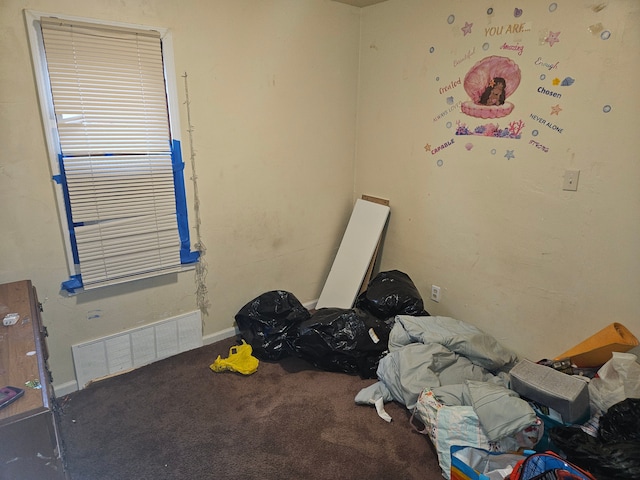 miscellaneous room with carpet flooring