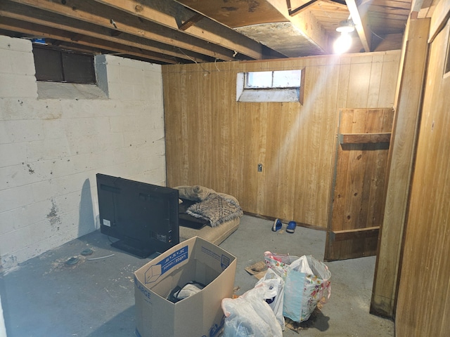 basement with wooden walls