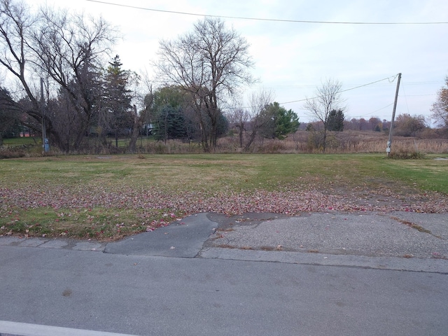 3715 E Chandler St, Carsonville MI, 48419 land for sale