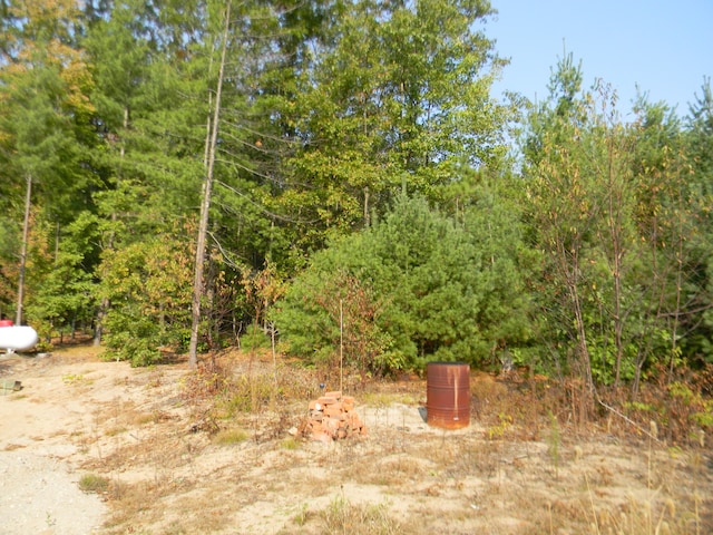 view of local wilderness