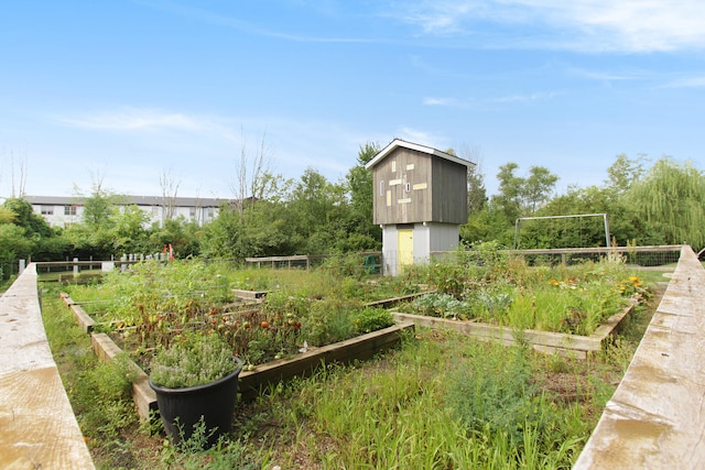 view of yard with a shed