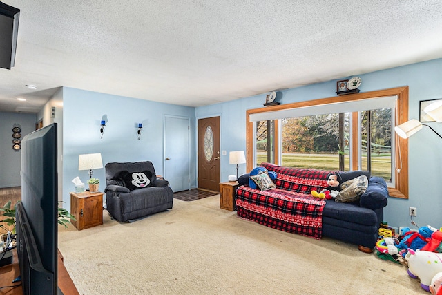 living room featuring carpet and a textured ceiling