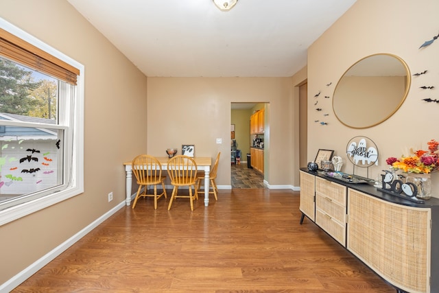 dining room with hardwood / wood-style flooring