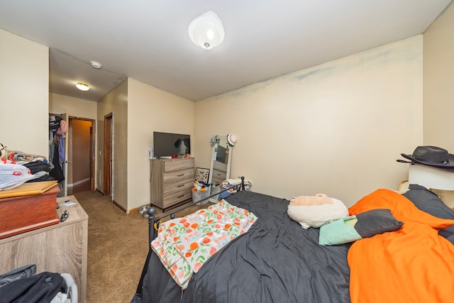 bedroom with light colored carpet and a closet