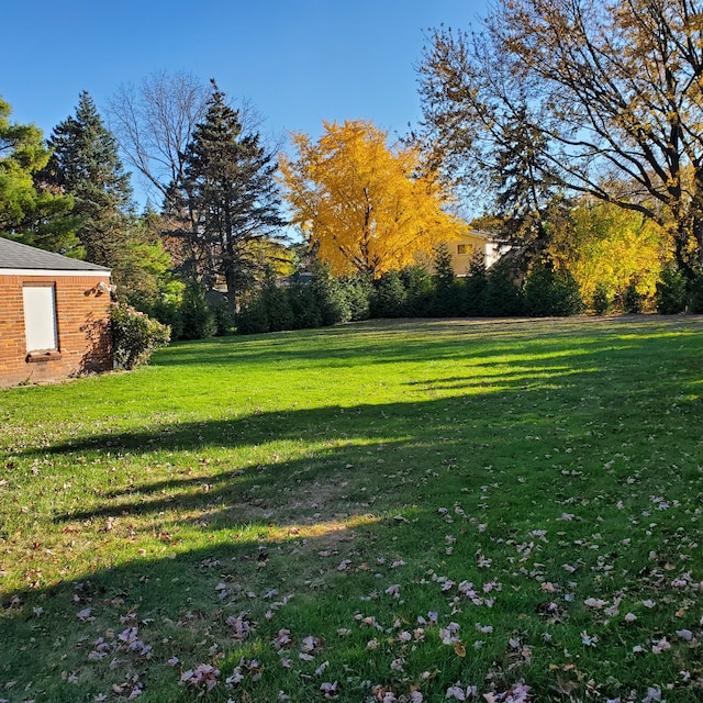 view of yard