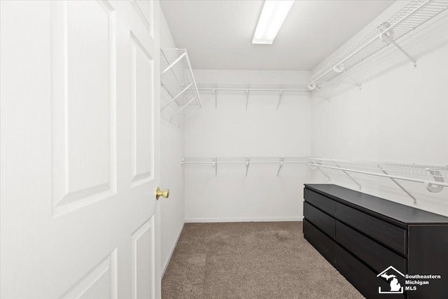 spacious closet featuring light colored carpet